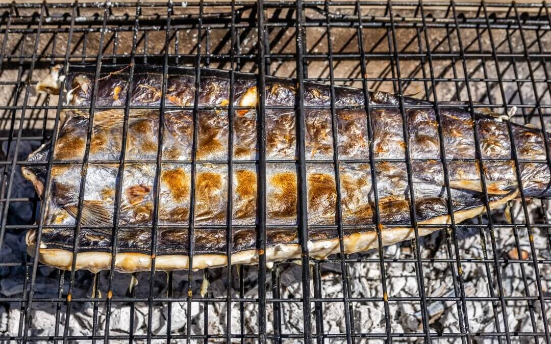 Apricot-Butter Snoek
